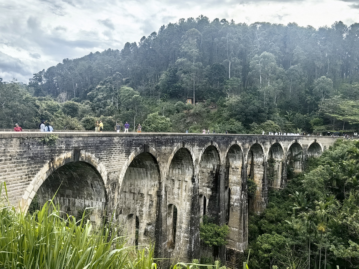 艾拉 Ella 九孔橋